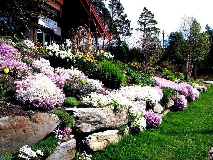 Trolltun Hotel & Hytter Dombås المظهر الخارجي الصورة